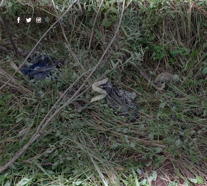 Un hombre se percata de los restos óseos, presumiblente humanos, al realizar recorrida en busca de animales en la zona. Foto: Radio&tv Suceso