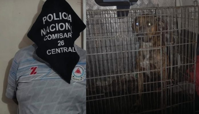 Osmar Alcaraz Delvalle, un abogado de 48 años y propietario de los perros de raza pitbull que atacaron brutalmente a dos hombres - Foto: Web