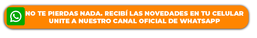 Descripción de la imagen