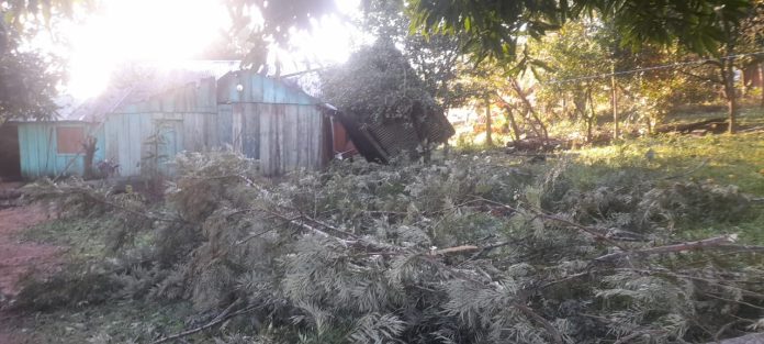 Las zonas visitadas fueron Yaratii, San Miguel, Tacuaremboiy, Guazucai Norte, Potrero Yatai, Yaguareté Corá, Azame Cué y San Juan Bautista, donde se constataron distintos tipos de afectaciones por el fenómeno climático. Foto: SEN.