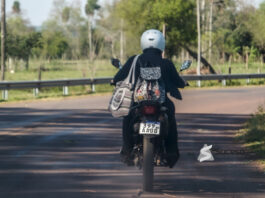 Este martes el clima será fresco a cálido. Foto: Suceso Multimedios