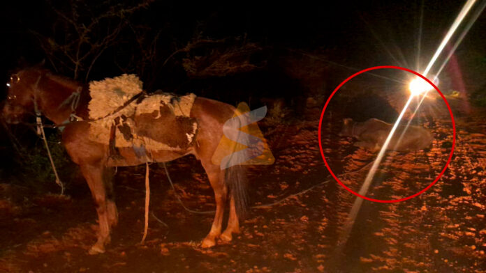 La Policía Nacional continúa con las averiguaciones a fin de identificar al responsable que logró escapar entre la oscuridad. Foto: Redacción Suceso. La Policía Nacional continúa con las averiguaciones a fin de identificar al responsable que logró escapar entre la oscuridad. Foto: Redacción Suceso.