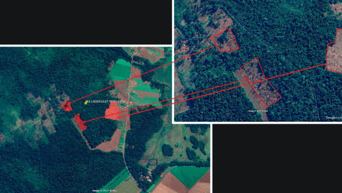 El diario Última Hora accedió a imágenes satelitales que revelan un nuevo caso de deforestación en la Reserva San Rafael, ubicada a unos 450 kilómetros de Asunción, entre el sur del Departamento de Caazapá y el sur de Itapúa, una las últimas zonas boscosas de la Región Oriental. Pese a la Ley de Deforestación Cero y, de acuerdo con denuncias anónimas, estas invasiones son constantes por parte de personas inescrupulosas que entran a la propiedad, destruyen el bosque, comercializan la madera y luego alquilan ilegalmente las tierras para plantaciones ilegales que podrían ir desde soja hasta marihuana. El diario Última Hora accedió a imágenes satelitales que revelan un nuevo caso de deforestación en la Reserva San Rafael, ubicada a unos 450 kilómetros de Asunción, entre el sur del Departamento de Caazapá y el sur de Itapúa, una las últimas zonas boscosas de la Región Oriental. Pese a la Ley de Deforestación Cero y, de acuerdo con denuncias anónimas, estas invasiones son constantes por parte de personas inescrupulosas que entran a la propiedad, destruyen el bosque, comercializan la madera y luego alquilan ilegalmente las tierras para plantaciones ilegales que podrían ir desde soja hasta marihuana.