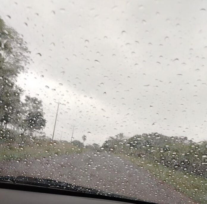 WhatsApp Image 2025-10-28 at 13.03.27 Fresco, cielo mayormente nublado, vientos moderados del sur, lluvias dispersas, luego mejorando. Foto: Gentileza