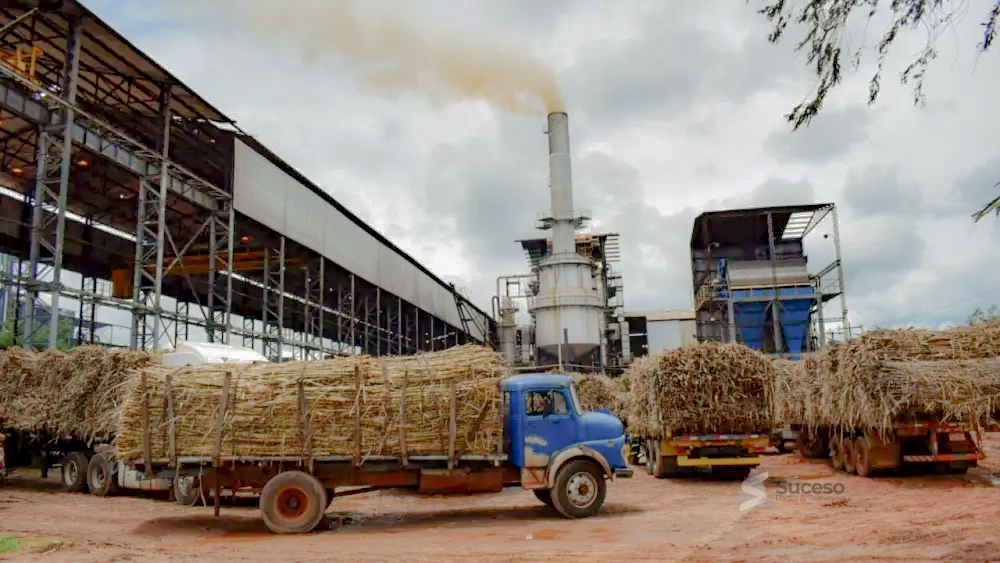 Buscan evitar pérdidas económicas de manera a mantener la cadena productiva de la caña de azúcar. Buscan evitar pérdidas económicas de manera a mantener la cadena productiva de la caña de azúcar.