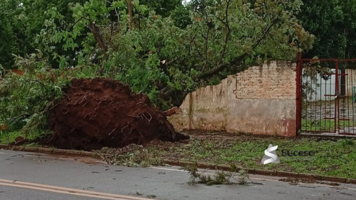 Intensas ráfagas de viento acompañadas de lluvias afectaron en la tarde de este viernes a varias localidades del departamento de Caazapá