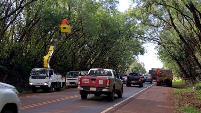 Atajo. Al ir al Sur de Alto Paraná, sobre la ruta PY06, se puede disfrutar de 1,5 km de sombra Foto: GENTILEZA Atajo. Al ir al Sur de Alto Paraná, sobre la ruta PY06, se puede disfrutar de 1,5 km de sombra Foto: GENTILEZA