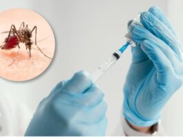 Vacunación infantil contra el dengue: Paraguay da un paso histórico en prevención