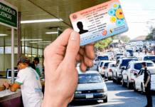 Licencia: Sistema unificado ya se aplicará en marzo, pero aún no se descontarán puntos A partir de este año, la Agencia Nacional de Tránsito implementó un nuevo sistema de licencias de conducir con QR.ÚH