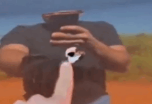 Atentado en Campos Morombi habría sido perpetrado por el EPP, según el ministro de Defensa El atentado ocurrió este jueves en la Reserva Privada Campos Morombi.Foto: Captura NPY.