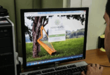 Tributación recuerda vigencia de la figura del “Tercero Autorizado” Tributación recuerda vigencia de la figura del “Tercero Autorizado”