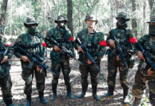 “El EPP nunca se fue”, afirma Emilio Tiky Cubas, primo de Cecilia Cubas