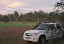 Delincuentes roban todas las lechugas hidropónicas de una finca familiar en Yaguarón Una familia de productores de Yaguarón quedó sin su producción de lechugas hidropónicas y varios otros elementos tras ser víctimas de la inseguridad.Foto: Captura de video / Telefuturo.