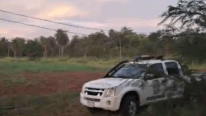 Una familia de productores de Yaguarón quedó sin su producción de lechugas hidropónicas y varios otros elementos tras ser víctimas de la inseguridad.Foto: Captura de video / Telefuturo.
