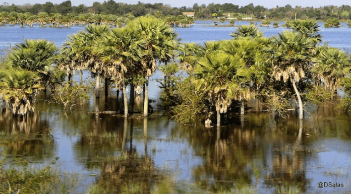 Logran acuerdo para la protección a perpetuidad en la cuenca del Lago Ypacaraí